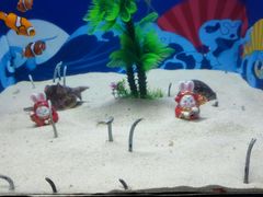 -烟台海昌鲸鲨海洋公园