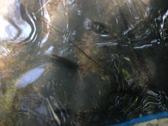 -三亚珠江南田温泉度假区