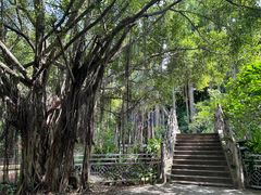 -滴水岩森林公园