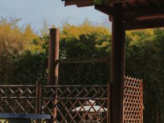 -厦门园林博览苑