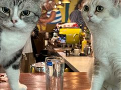 -咖法森林·咖啡  酒吧(天河店)