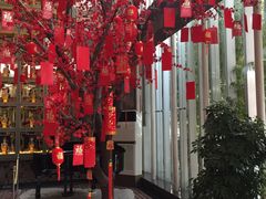 -西安国际创新人才交流中心•药浴温泉