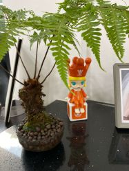 点击看大图 -挪娅婚纱摄影皇家会所