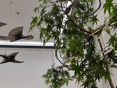 -耳艺采耳·足疗·按摩SPA(市桥店)