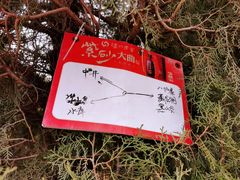 -龙洞风景区-藏龙涧