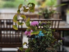 -扫雪煮茶(西村店)