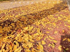 -中国农业博物馆