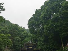 -青城山