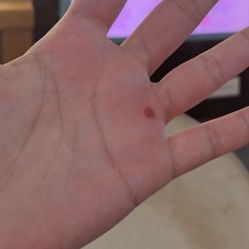 -蹦蹦乐园(南桥百联店)