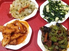 包菜粉丝-新食客中式快餐(鑫乐生活广场店)