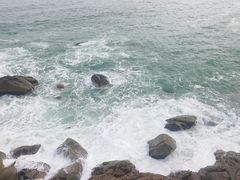 -广东惠东海龟国家级自然保护区