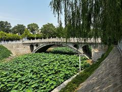 -赵州桥景区