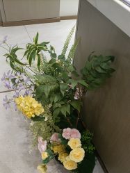 -云南吴氏嘉美医疗美容医院