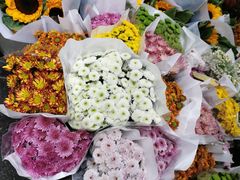 -循礼门鲜花花市(武汉循礼门店)