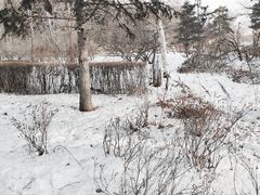 -长春市南湖公园