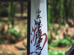 -川西竹海景区