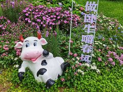 -云溪植物园