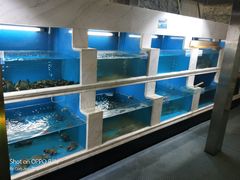 水产区-祥记餐饮•豫粤珍味(郑东新区新长安店)