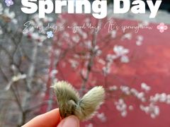 -东华门大街小区