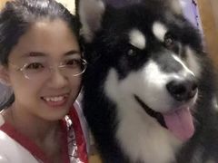 -浔岚云舍mist静谧观景美宿(丽江古城店)