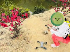 -南国桃园旅游度假区