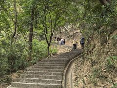 -火炉山森林公园