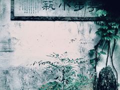 -留园