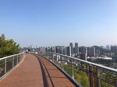 -板樟山森林公园