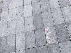 -海椰茶居(海印缤缤广场店)