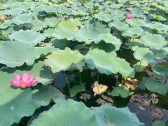 -上海市保健医疗中心