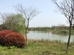 -南湖湿地公园
