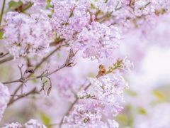 -山东大学(兴隆山校区)