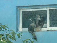 -青藏高原野生动物园