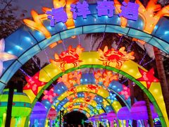 -欢乐海岸椰林沙滩-2025湾区超级灯会