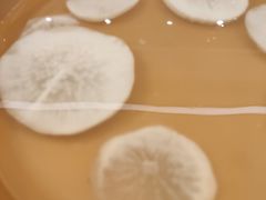 萝卜片-龍歌自助小火锅(城阳万象汇店)