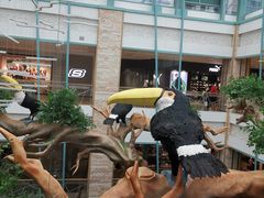 -大族广场Mall&More