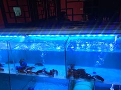 -虾弄弄海派小龙虾·牛羊蝎子火锅