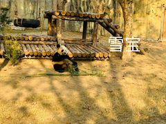 -上海野生动物园