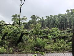 -同里国家湿地公园