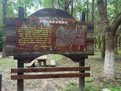 -东平国家森林公园