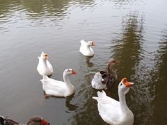 -北京市车辆管理所京海分所