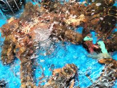 -大润发(康桥店)