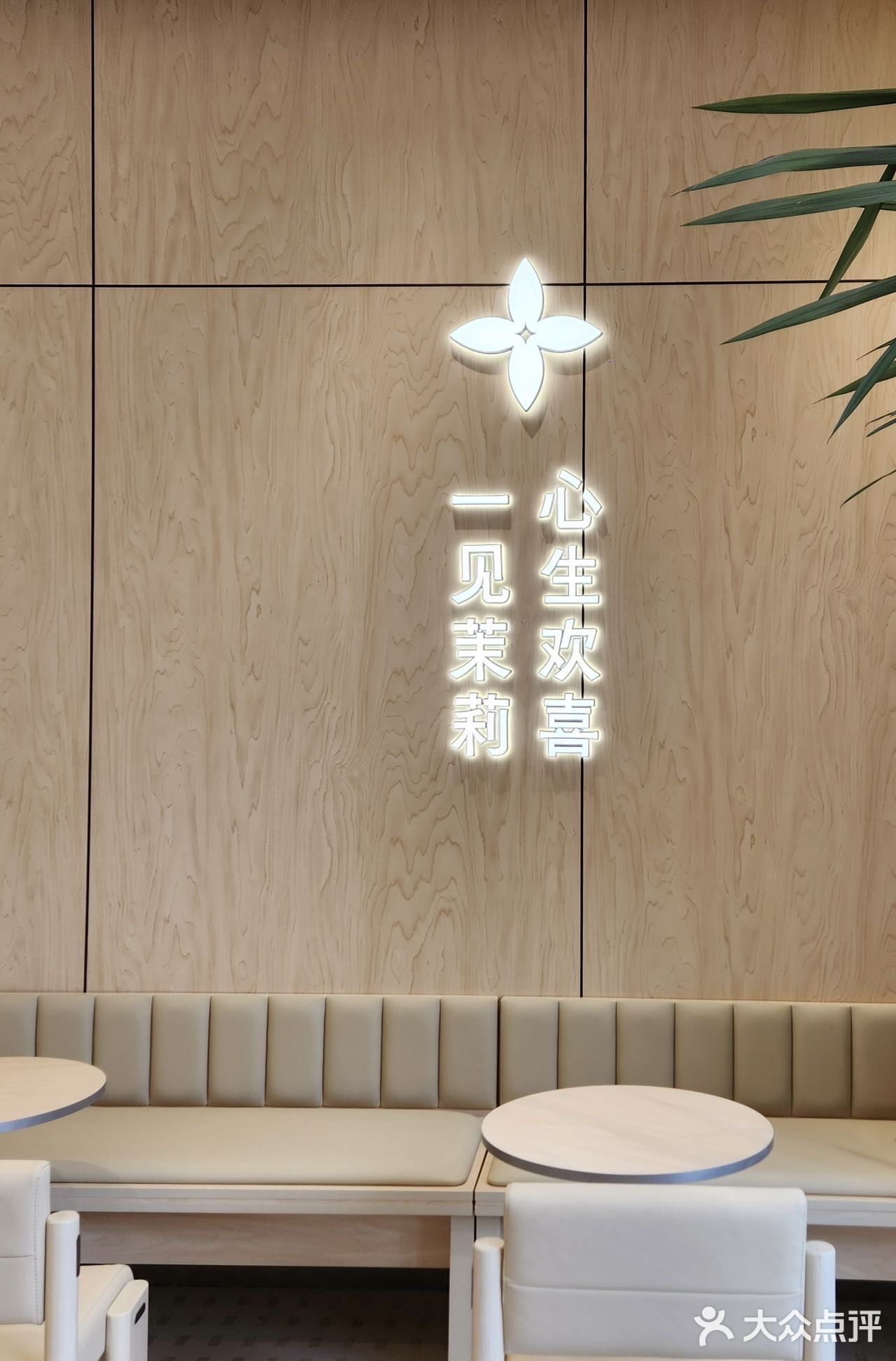 报‼️茉莉奶白在沙区开新店了！