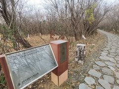 -盘龙城国家考古遗址公园