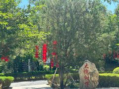 -大槐树寻根祭祖园
