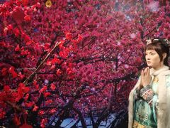 -武汉杜莎夫人蜡像馆