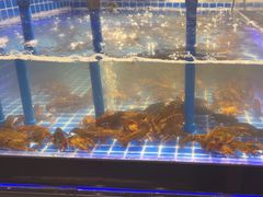 -锅儿欢海鲜火锅烤肉自助餐(东港凯虹店)