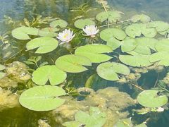 -渤公岛生态公园