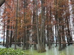 -东湖落雁景区