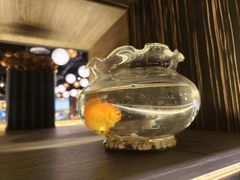 -半秋山西餐厅(巴南万达广场店)